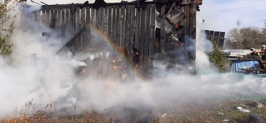 Pożar garażu w Skaryszewie i stodoły w Bujaku niedaleko Skaryszewa, strażacy ugasili ogień 