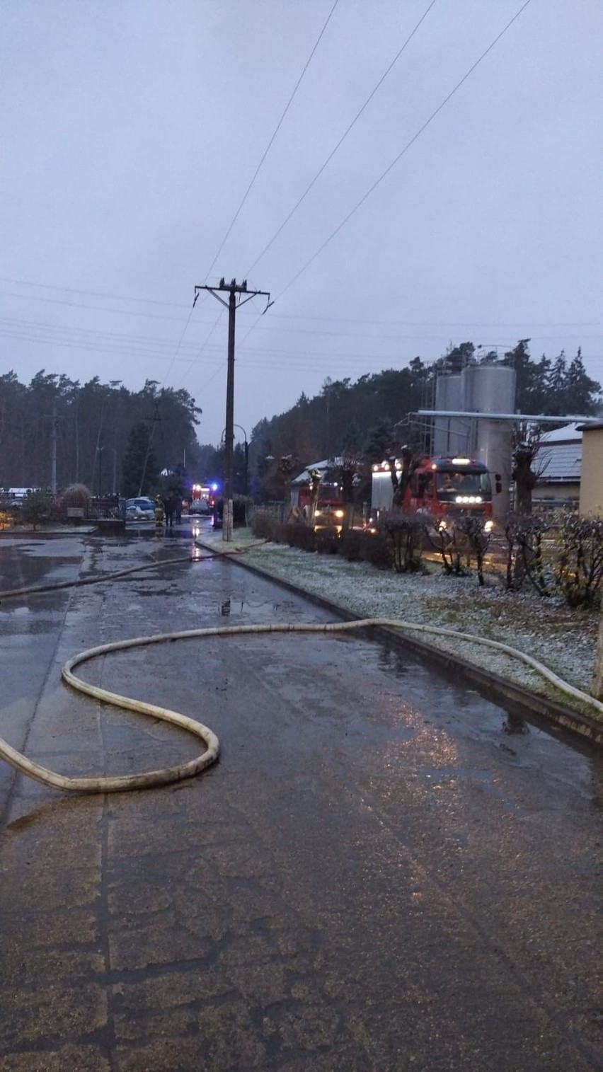 Nowa Wieś Ełcka. Wielki pożar w zakładzie produkcyjnym zajmującym się utylizacją padłych zwierząt (zdjęcia)