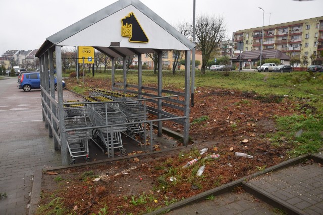 Niedawno wycięto żywopłot przy parkingu Netto w Miastku. Tam często imprezowali i nocowali bezdomni