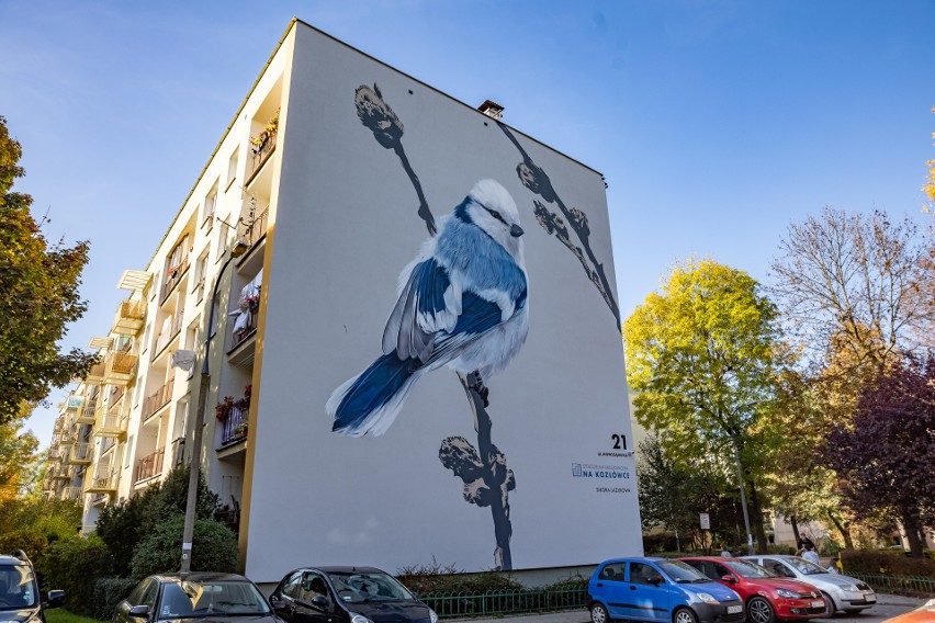 Kolorowe "stadko" na os. Na Kozłówce