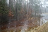 Woda z lasu zalewa działki w Mirachowie. Mieszkańcy boją się o swoje domy
