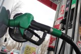 Ceny paliw. Ropa na rynkach znowu zaczyna drożeć. Ile kierowcy płacą za tankowanie 23 marca? 