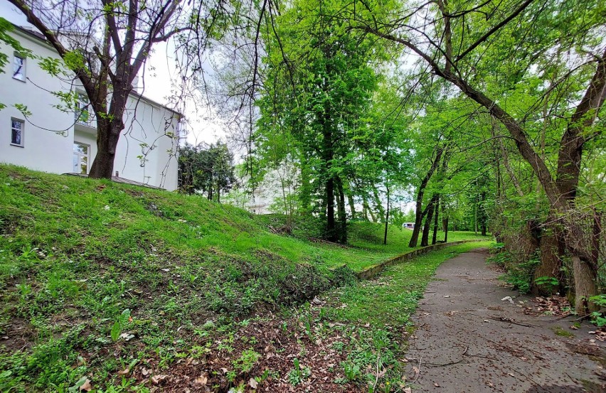 Nowy Sącz. Fundacja Nowe Kierunki zamierza zrewitalizować park mieszczący się przy sądeckim szpitalu