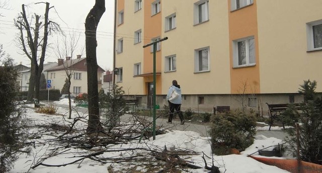 Przycinanie i wycinanie drzew przy ul. Spiechowicza oburzyło mieszkańców.