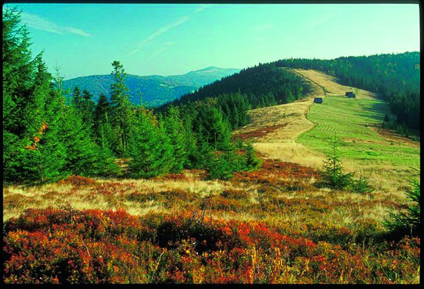 Nowy Targ, Turbacz (13 km) Przełęcz Knurowska (21 km)...