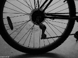 Wypadki z udziałem rowerzystów na Podkarpaciu. Trzy osoby w szpitalach