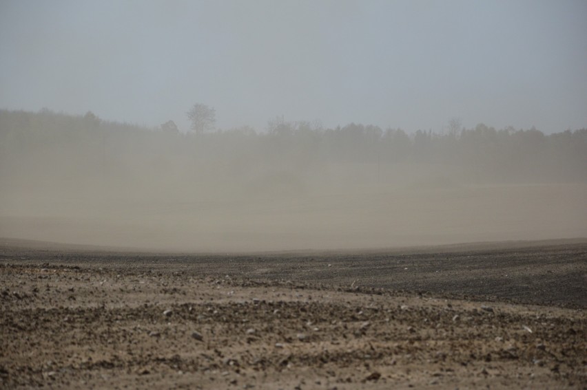 Saharyjski pył na Pomorzu 23.04.2019. Pył jest szczególnie niebezpieczny na drodze! Ostrzeżenie przed silnym wiatrem. Zobacz wideo i zdjęcia