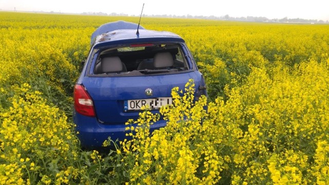 Według pierwszych ustaleń krapkowickich policjantów, kierowca skody nie dostosował prędkości do warunków pogodowych i wypadł z drogi.