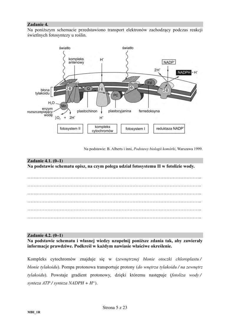 Matura próbna 2020 biologia 7.04.2020. ARKUSZ CKE. Jakie pytania na maturze online z biologii? Kiedy wyniki? 