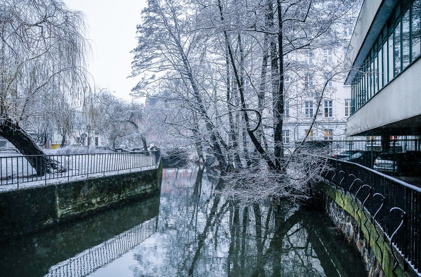 Śnieg w Gdańsku.