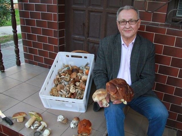 Taaaki prawdziwek i kosz mniejszych grzybówTadeusz Stefaniak z Tarnobrzega ze imponującymi zbiorami.
