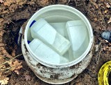 Znaczne ilości narkotyków ukryte w lesie pod Toruniem. Policjanci zatrzymali 44-latka, gdy rozkopywał ziemię