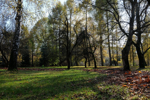 Centrum Opiekuńczo – Mieszkalne powstanie na terenie parku przy DPS przy ul. mjr. Henryka Sucharskiego