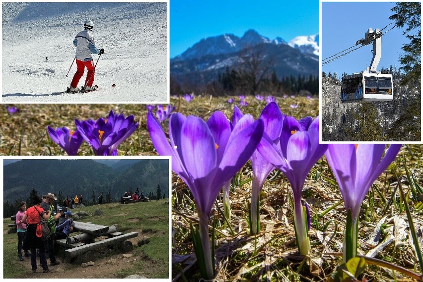 Zobaczcie miejsca w górach, które wiosną każdy miłośnik Tatr...