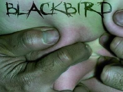 W piątek, o godzinie 20 i w sobotę, o godzinie 19 na spektakl "Blackbird" według dramatu Davida Harrower'a w reżyserii Konrada Dulkowskiego zostaną zaproszeni pierwsi podopieczni Fundacji Szansa dla Niewidomych. 	