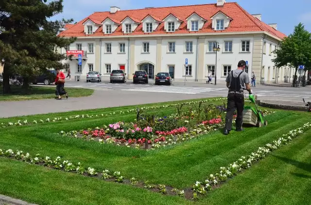 W tym roku, tak pięknie nie będzie. Do lipca możemy liczyć na zielsko