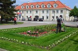 Miasto zarośnięte trawą i chwastami. Tak w najbliższych miesiącach może wyglądać Włocławek