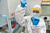 We Wrocławiu powstaje szczepionka na koronawirusa. Niedługo testy na myszach
