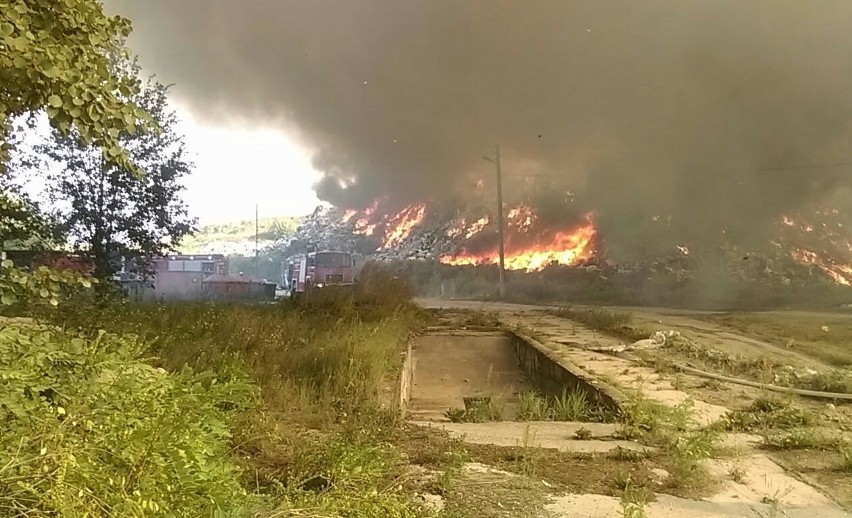 Studzianki. Pożar wysypiska śmieci gminy Wasilków gasi...