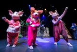 Zabawne i rozśpiewane „Trzy świnki i przyjaciele”. Nowy spektakl Teatru Kameralnego w ten weekend [zdjęcia]
