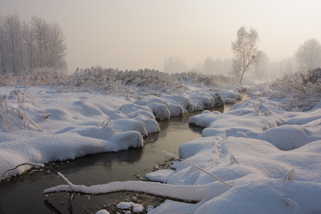 Rzeka Brynica w Piekarach Śląskich. Jedno ze zdjęć Łukasza Koby w albumie „Dziki Hajmat"