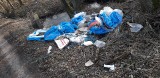 Nielegalne składowisko śmieci w kompleksie leśnym położonym w miejscowości Babsk