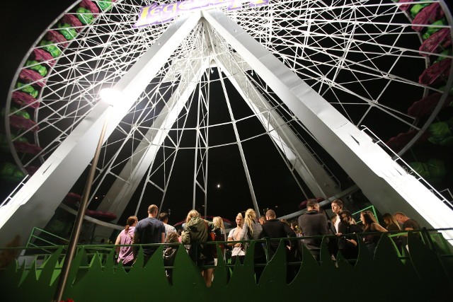 Legendia at Night odbywa się w tym roku pod hasłem „Magia żywiołów”. Oprócz nocnej zabawy na takich atrakcjach, jak Lech Coaster, Diamond River, czy Legendia Flower można również obejrzeć pokazy multimedialne