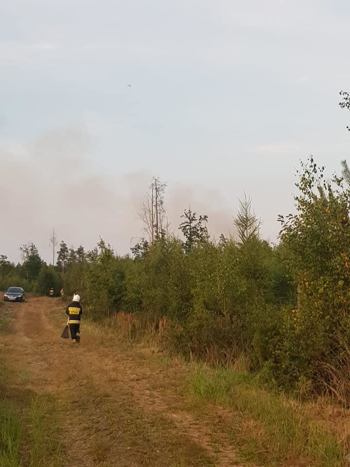 Pożar lasu w Herbach i Kalinie 20 - 21.07.2019.