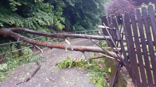 Strażacy w ciągu ostatniej doby podjęli 15 interwencji. Usuwali powalone drzewa zalegające na jezdni, dostarczali worki z piaskiem na terenie Nowego Sącza i wypompowywali wodę, która zalewała budynki.