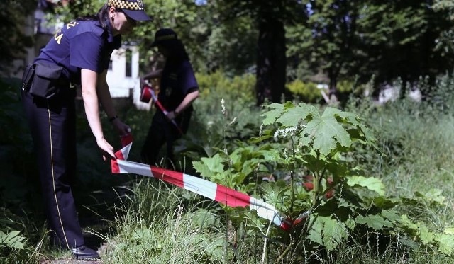 Czy Straż Miejska w Kościerzynie zostanie zlikwidowana?