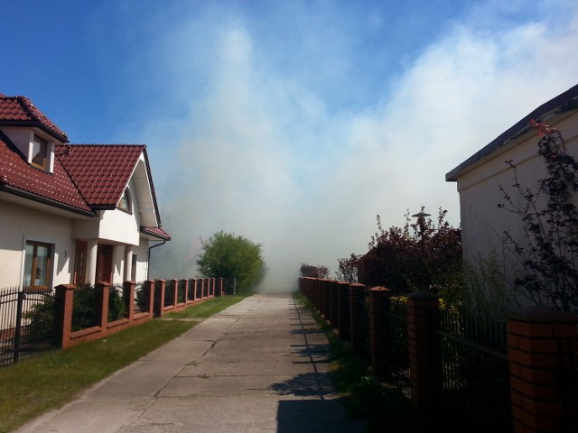 Groźny pożar traw w Rowach.