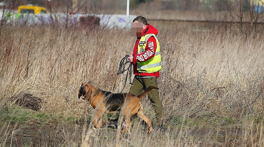 Morderstwo w Parku na Zdrowiu. Zabójcę tropi specjalistycznie wyszkolony pies z Saksonii... Będzie przełom w śledztwie?