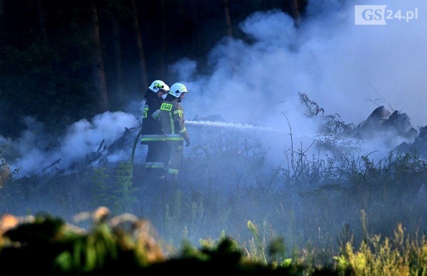Pożar składowiska gałęzi w Trzeszczynie pod Policami. Na miejscu 9 zastępów straży pożarnej oraz samolot gaśniczy ZDJĘCIA