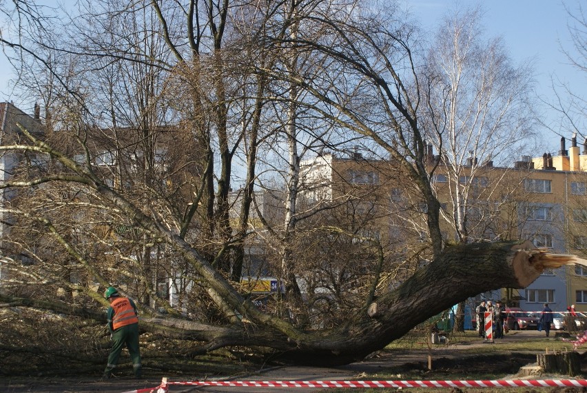 Przebudowa ul. Majakowskiego potrwa do października 2015...