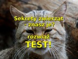 Sekrety zwierząt bydgoskiego ZOO - poznaj je, rozwiąż test!