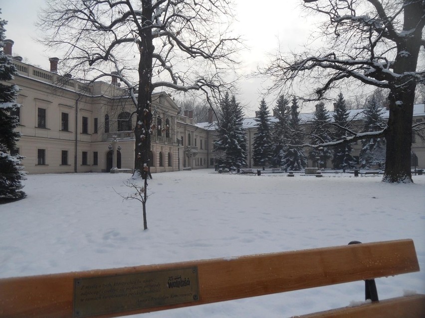 Park Habsburgów w Żywcu zimą [ZDJĘCIA]