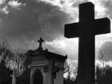 Makabryczne odkrycie na cmentarzu w Gdyni. Ktoś kradnie zwłoki