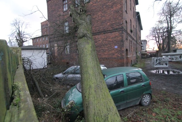 Drzewo runęło na dwa samochody i budynek przy ul. Poprzecznej