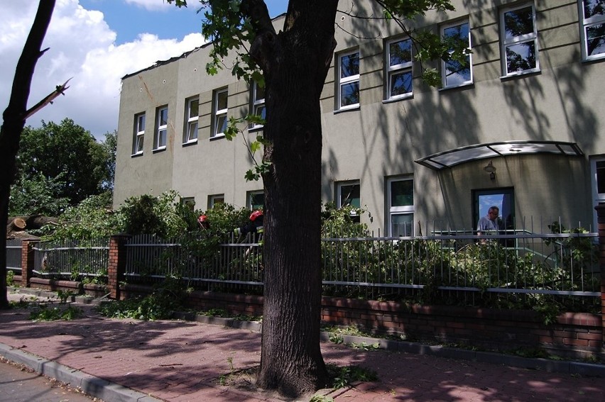 W Częstochowie drzewo spadło na budynek ZUS-u