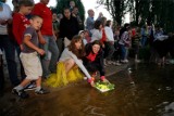 W niedzielę rozpoczyna się lato. To okazja, by... łączyć się w pary