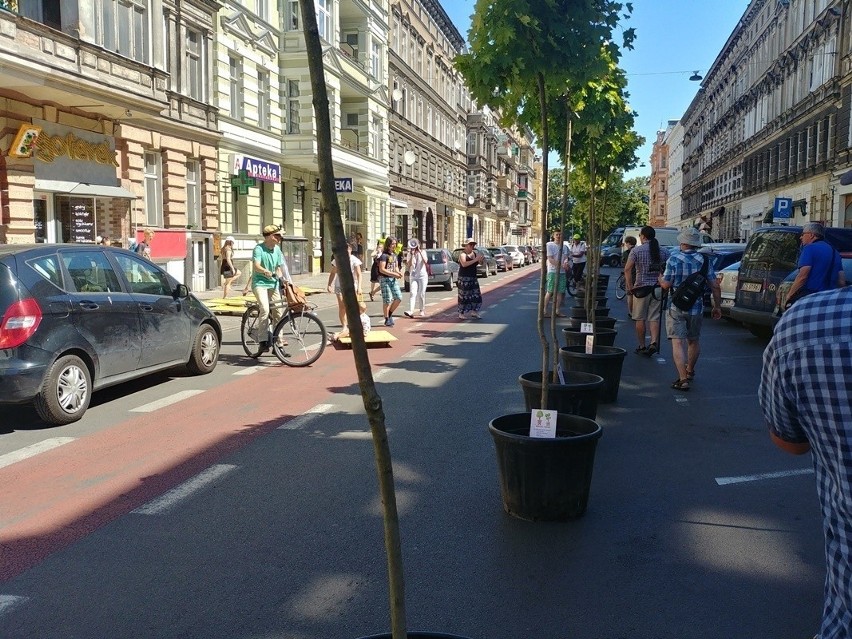 Drzewa znów powędrują do Centrum! Akcja "wędrujące drzewa" w Szczecinie już w najbliższa sobotę. Będą utrudnienia w ruchu