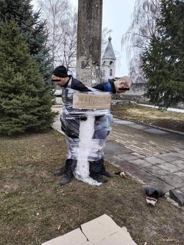 polskatimes.pl