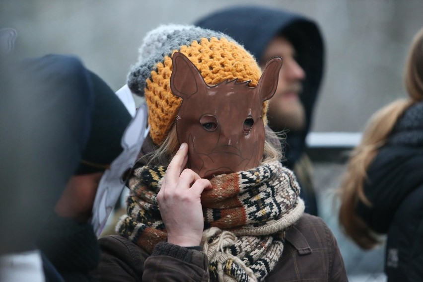 Protest przeciwko polowaniom na dziki