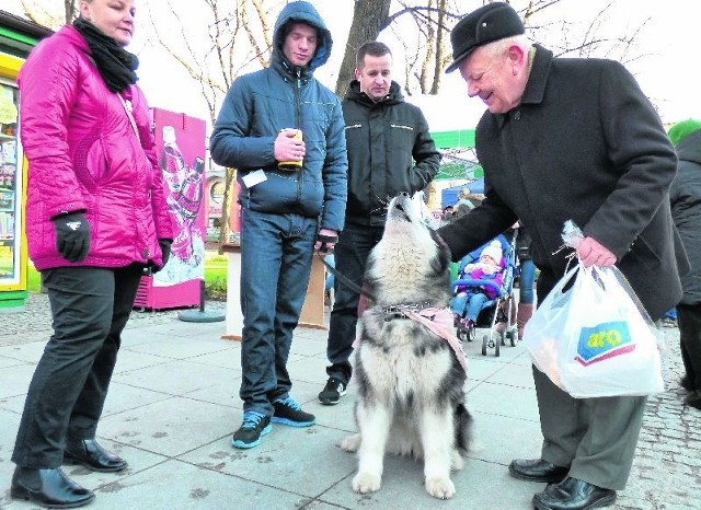 Luna robiła furorę. Podczas sobotniej zbiórki na świątecznym kiermaszu w centrum Buska była ulubienicą mieszkańców.