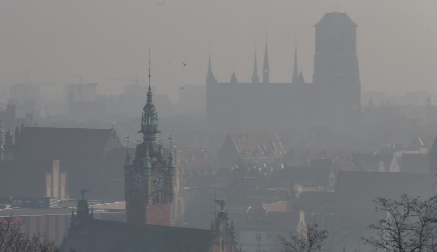 Jak zmniejszyć ilość pyłów w atmosferze? Władze Gdańska mają...