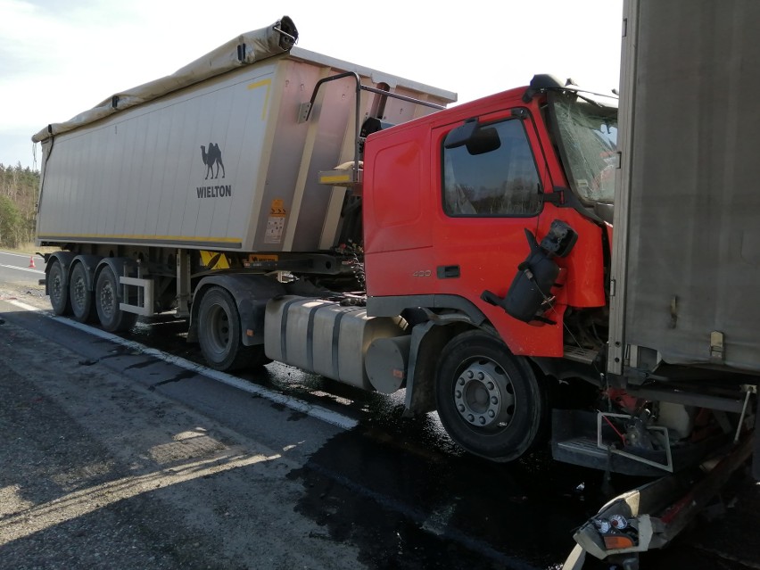 Zderzenie dwóch ciężarówek w Tarnobrzegu. Droga krajowa numer 9 była zablokowana [ZDJĘCIA]