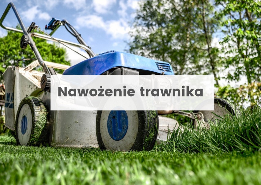 Wczesną jesienią, we wrześniu, warto przeprowadzić ostatnie...