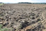 Susza już jest na północy Opolszczyzny, choć rolnicy się jeszcze nie skarżą. W glebie coraz bardziej brakuje wody