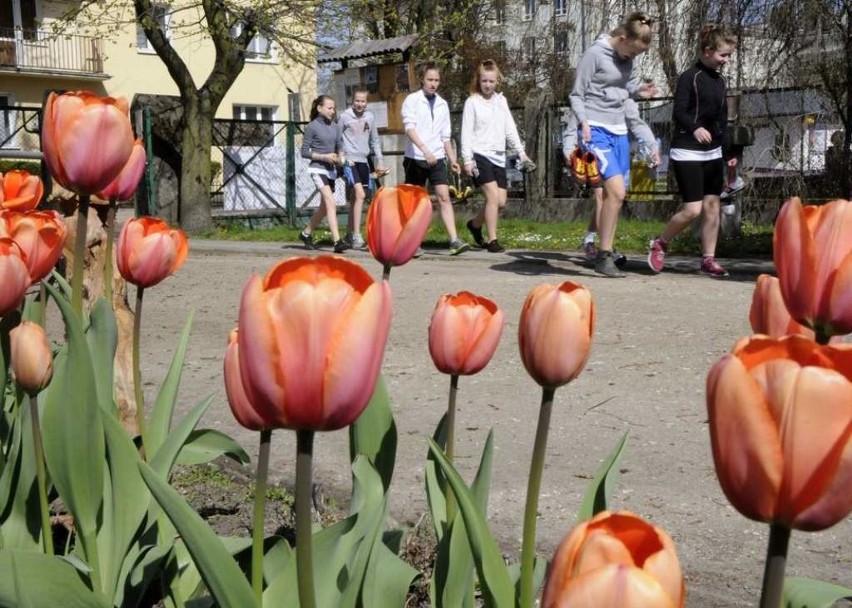 Ogród Botaniczny w Bydgoszczy