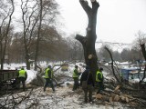 W parku obok fosy trwa wycinka drzew. Mogą być utrudnienia na ul. Bolesława Krzywoustego